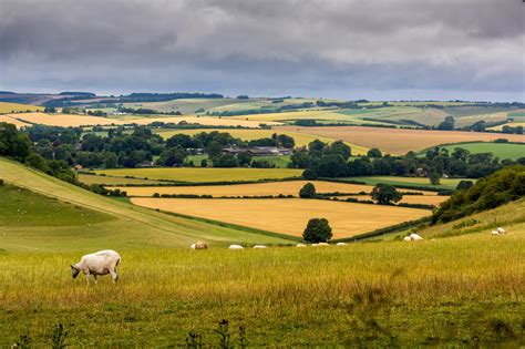 ELMS – The UK’s Environmental Land Management Scheme | Stephens Scown