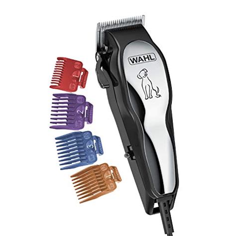 Best Dog Grooming Tools & Supplies: Your Essential Grooming Guide!