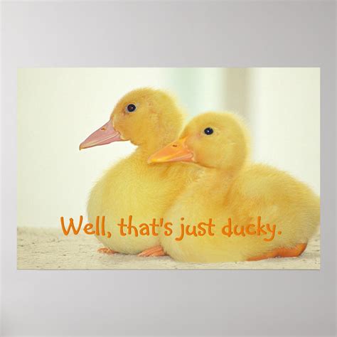 Just Ducky Poster | Zazzle