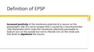 EPSP and IPSP | PPT