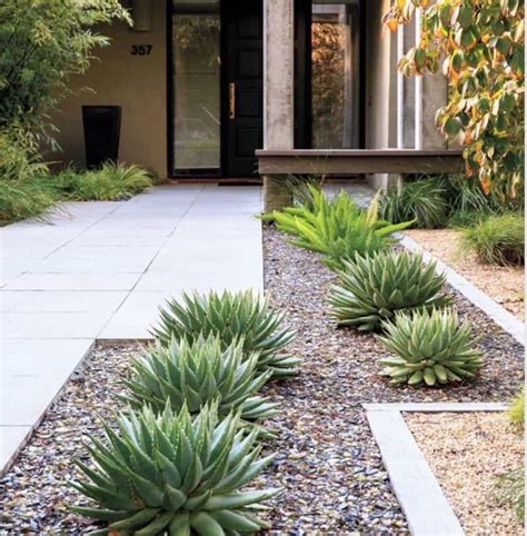 Good Plants For Desert Landscaping