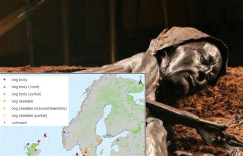 1,000 Bog Bodies From Across Scandinavia Reveal More Ancient Secrets ...