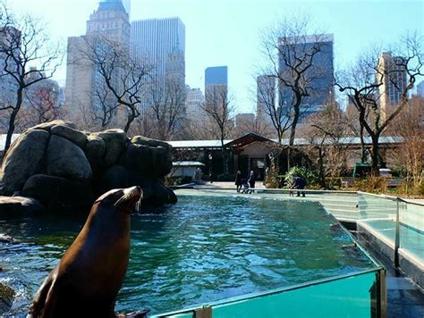 Central Park Zoo Tickets - NewYork.co.uk