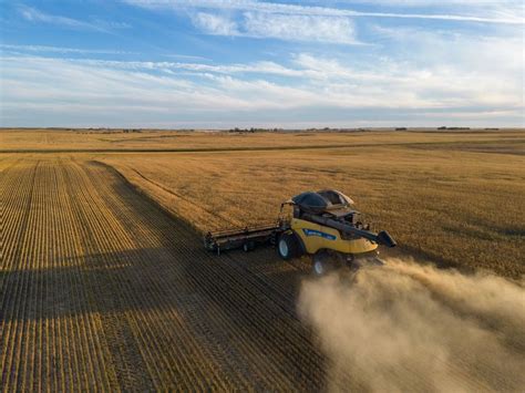 Dry Canadian farm fields threaten global wheat supplies | Financial Post