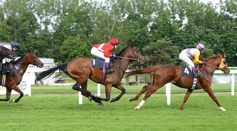 File:Horse-racing-3.jpg - Wikipedia