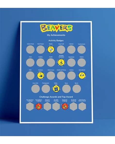 Beaver Scouts Badges | Scout Store