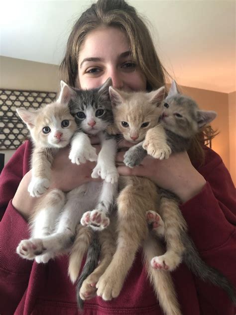 a woman holding several kittens in her arms