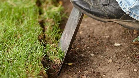 The Best Way to Edge a Garden Bed