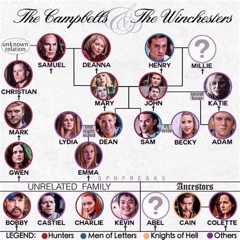 The Winchester Family Tree, where every one is deceased except a crazy ex-wife, a one-night ...