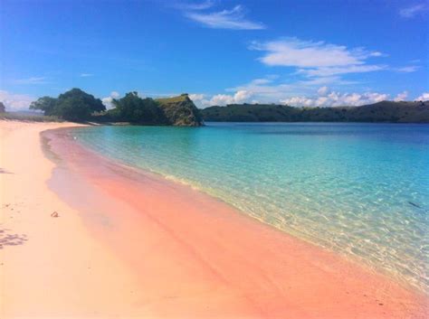 Pink beach, Flores - Indonesia. I've been there & it is very beautiful ...