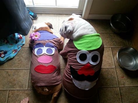 Mr. & Mrs. Potato Head dog costumes | Dog halloween, Family halloween costumes, Family halloween