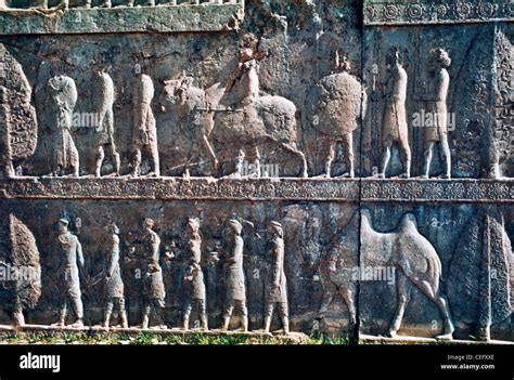 IRAN, PERSEPOLIS: Bas relief sculptures at Persepolis intentionally ...