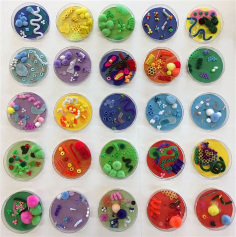 Bacteria Petri Dishes — Art Room Projects | Petri dishes, Polymer clay painting, Petri dish