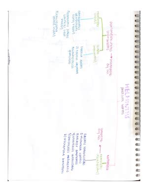 microbiology diagrams - BIOL 204 - Studocu