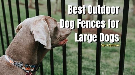 5 Best Outdoor Dog Fences for Large Dogs in 2024 - The Backyard Pros