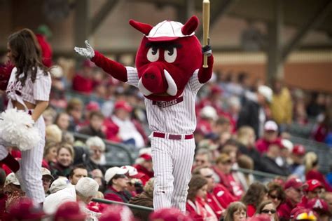 Ribby the Razorbacks mascot leads the crowd in cheering the Arkansas ...