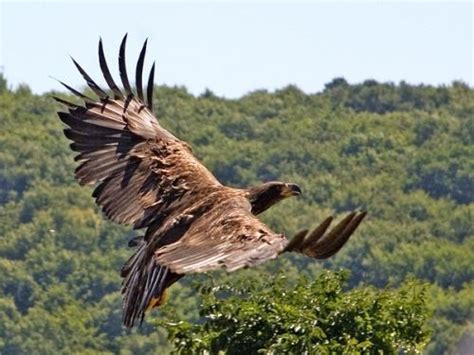 Fruska Gora National Park