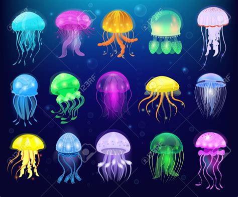 Jellyfish vector ocean jelly-fish or sea-jelly and underwater.. | Art méduse, Peinture de ...