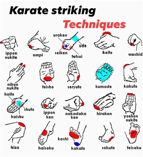 Karate Striking Techniques : karate