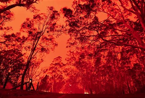 Australian Fires Caused By Humans, Not Climate Change