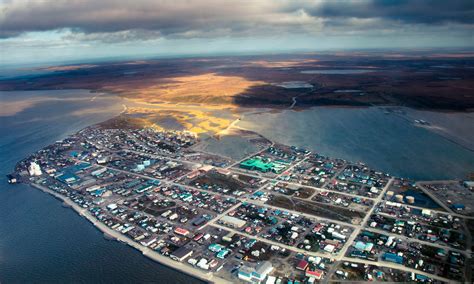 The Foul Chartreuse Sea | Hakai Magazine