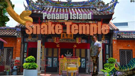 Snake Temple in Penang Island , Malaysia ||BEING INSIDE- MALAYSIA|| - YouTube