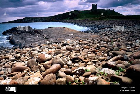 Dunstanburgh Castle Craster Northumberland England UK Stock Photo - Alamy