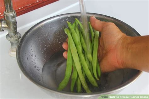 How to Freeze Runner Beans: 13 Steps (with Pictures) - wikiHow