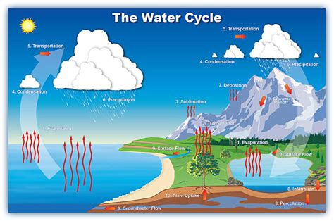 Sublimation Diagram Water Cycle