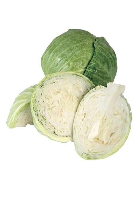 Green Cabbage - Prepared Food Photos, Inc.