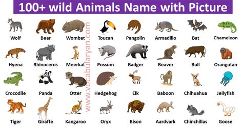 100+ Wild Animals Names in English with Picture – VocabularyAN