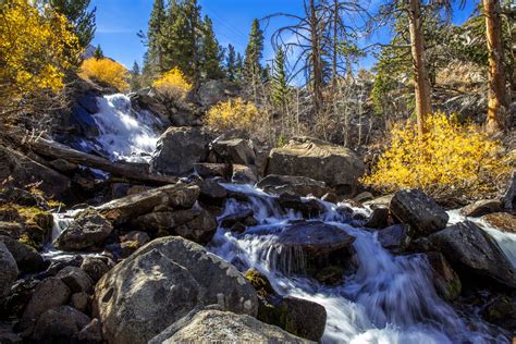 Fall Colors in the Eastern Sierras [June Lake, Mammoth, Convict Lake, Bishop] | Fall colors ...