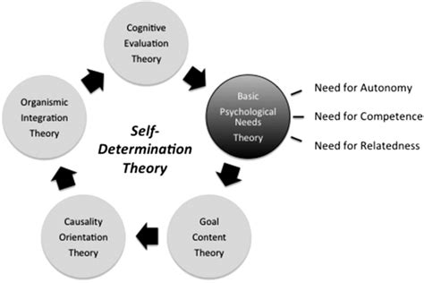 Overview of Self-Determination Theory (SDT): The Five Mini-Theories ...