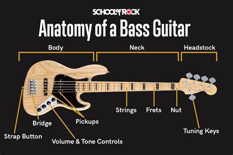 Guide to Buying Your First Bass Guitar | School of Rock