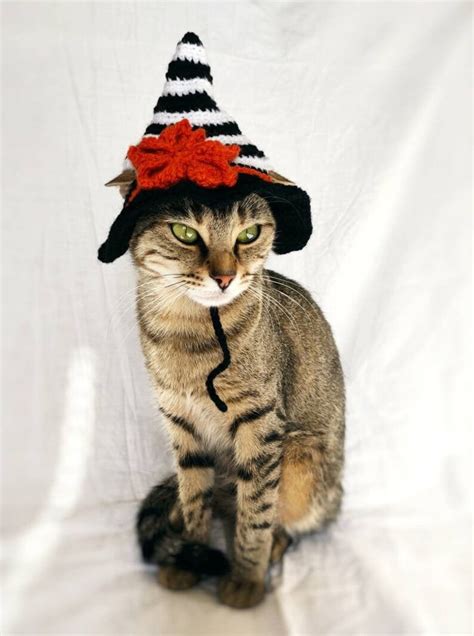 Witch Hat for Cat Witch Pet Costume Halloween Witch Kitten - Etsy