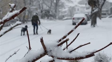 Nova Scotia digs out after major snowfall | CBC News