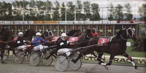 NEW ZEALAND TROTTING CUP LONG SHOTS AND LARGE DIVIDENDS - Harnessbred.com