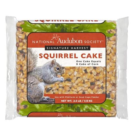 National Audubon Society 2.5-lb Squirrel Cake Wildlife Food in the Bird & Wildlife Food ...