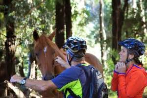 How Intense is the Haleakala Bike Tour? - Maui Sunriders Bike Co.