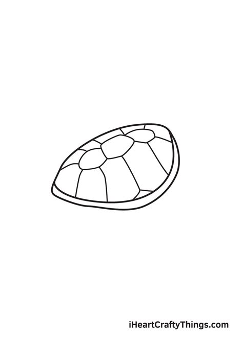 Green Sea Turtle Shell Drawing