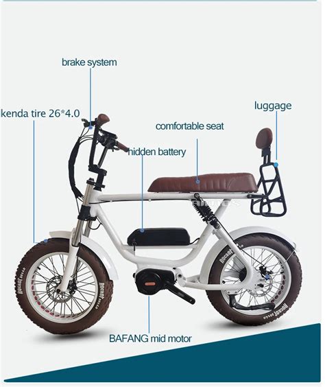 2020 Lithium Battery Super Powered 48v 1000w Aimos 73 Two Seat Ebike ...