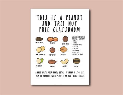 Nut Free Classroom Sign - Etsy