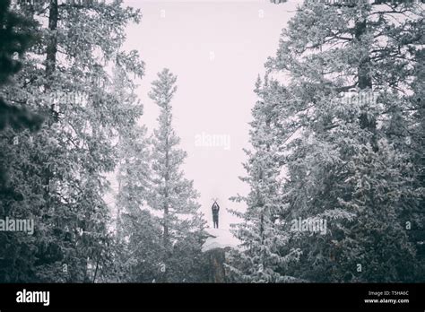 Winter Hiking in Colorado Stock Photo - Alamy