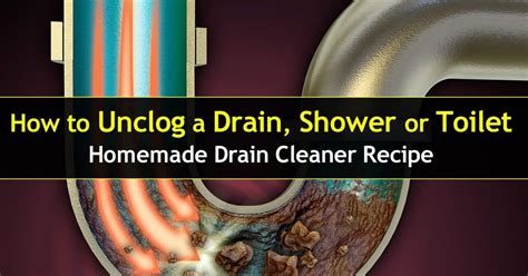 Unclog Drain : How To Unclog A Shower Drain or Toilet.