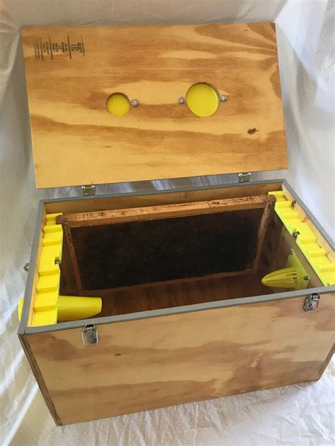 DIY Bee Vacuum Bee Vac Pest Control Beekeeping Swarm | Etsy