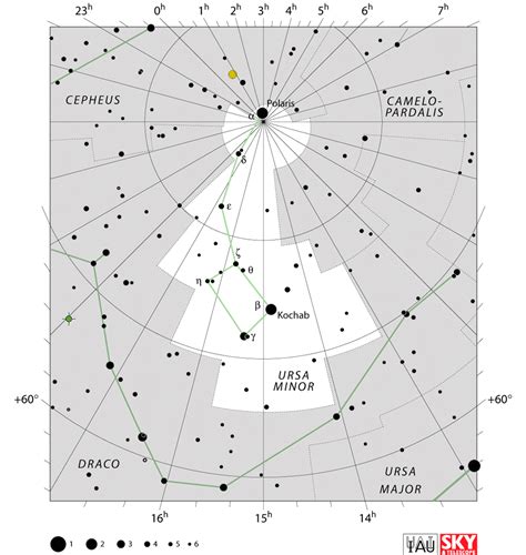 Ursa Minor Constellation Facts For Kids | What?, Importance, Size