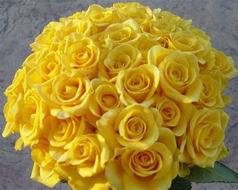 Bouquet Bridal: Yellow Roses Bridal Bouquet