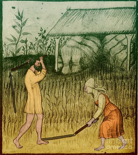 Agriculture, Medieval Farming Photograph by Science Source