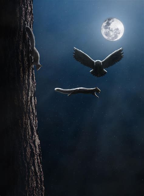 Owl Hunting at Night : r/photoshop