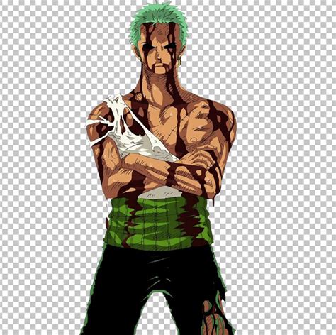 Zoro injured PNG Image in 2023 | Zoro, Png images, One piece comic